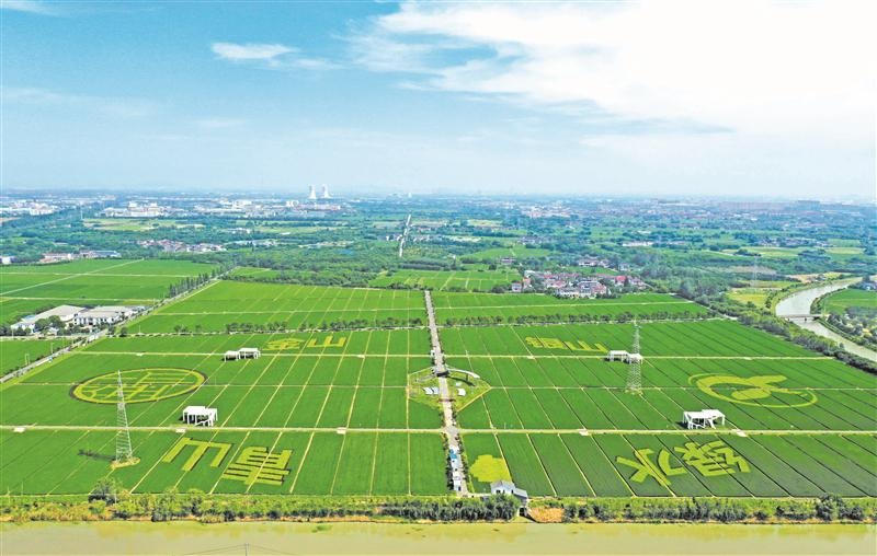 陵头乡最新发展规划，打造繁荣宜居的新时代乡村
