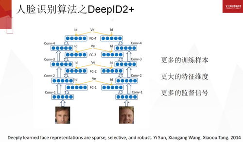澳门2025全年免费资料大全，定量解答、解释与落实的探讨
