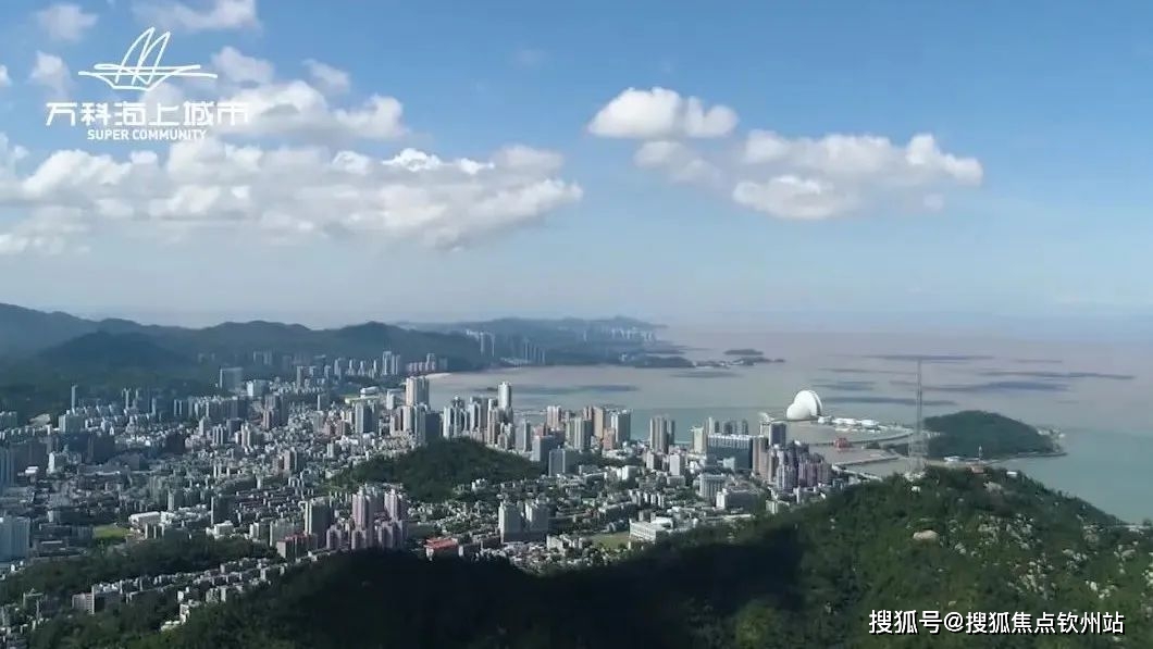 新澳2025最新资料大全第044期详细解读与深度分析