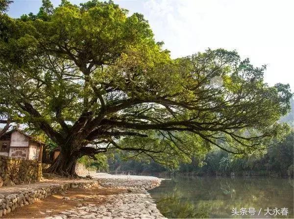 新时代下的新澳门，解读三中三政策与落实策略