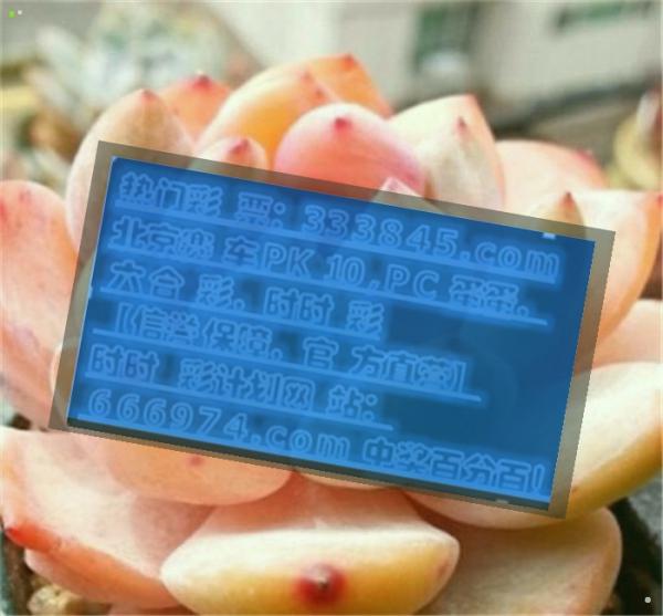 揭秘管家婆一码一肖的精准预测之道，揭秘真相，科学对待预测结果