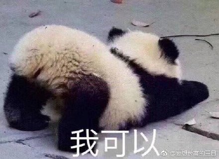 四不像预测一肖的背景