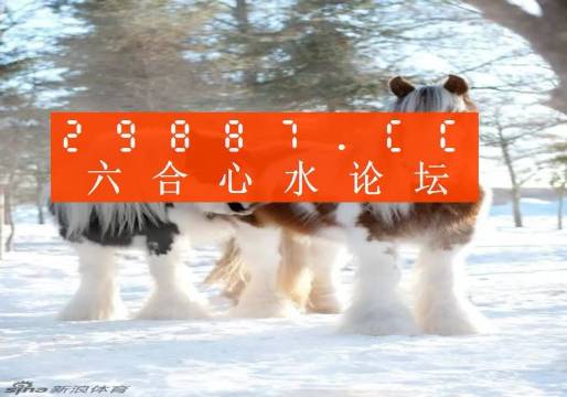 新闻 第982页