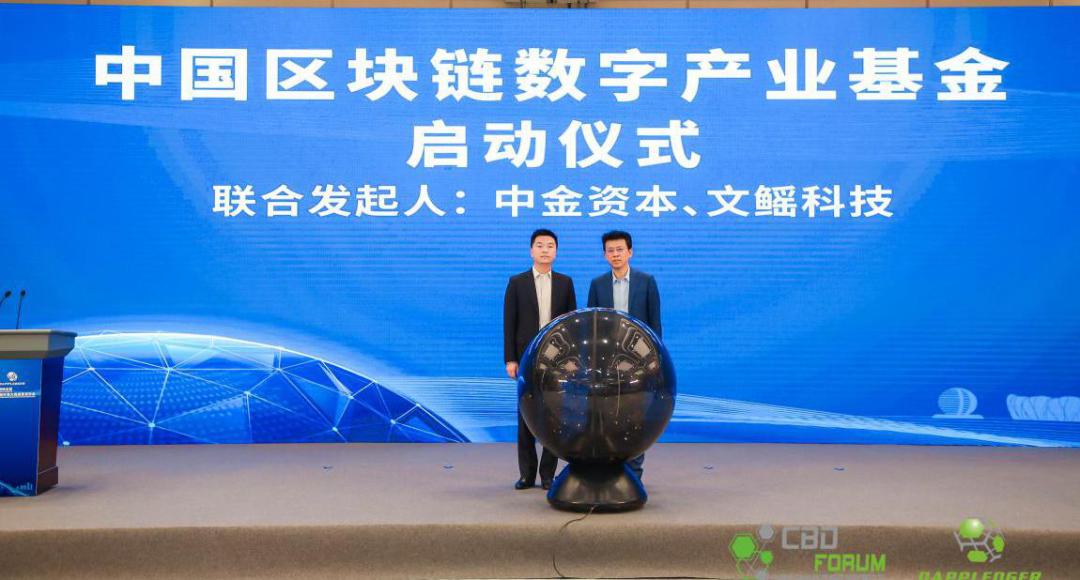 揭秘最准一码一肖专业版，实用释义、解释与落实—科学探索之旅