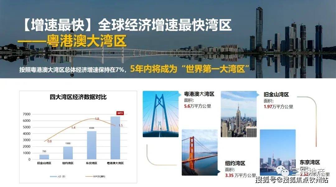 新澳2025最新资料大全第044期详细解析与探讨，从数字洞察未来趋势