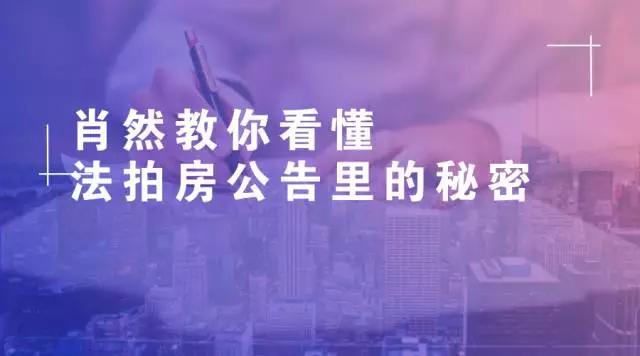 管家婆一肖的秘密，最新章节与东哥苏玛丽的奇幻之旅