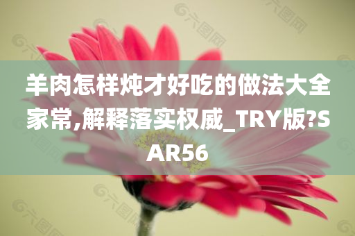 揭秘2025年新澳全年资料—口碑卓越的高分辨率版资料推荐