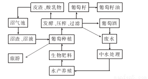 新闻 第96页