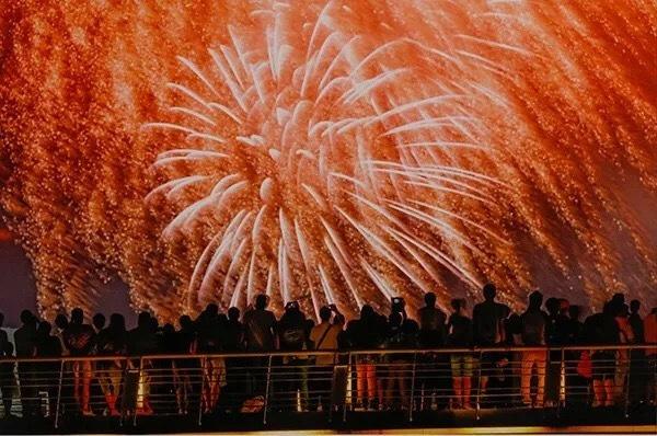 探索未来澳门，全面免费政策的释义、解释与落实