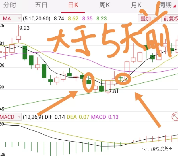 揭秘神秘预测，最准一码一肖的百分百准确性
