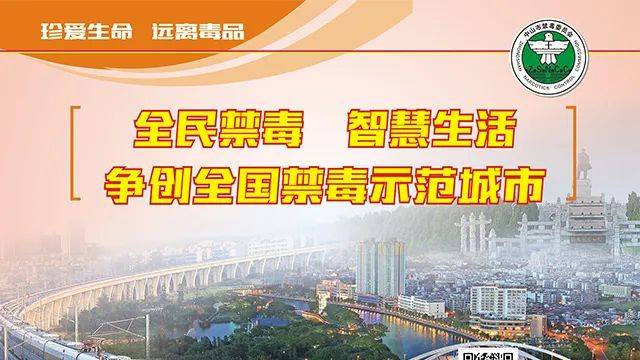 澳门与香港，未来十年展望与管家婆精准解析的全方位解读