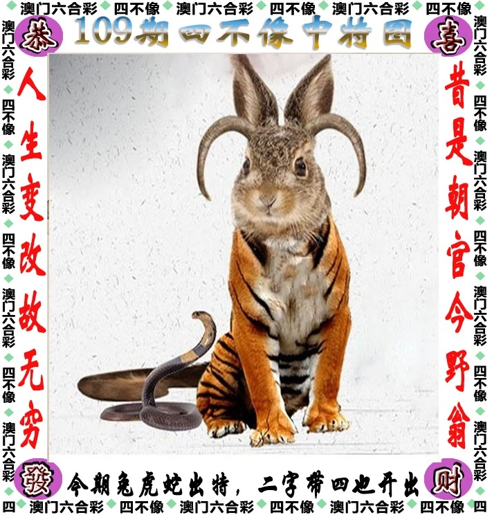 咨询 第46页