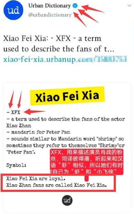 揭秘最准一码一肖，实用释义与现实解读—科技的视角