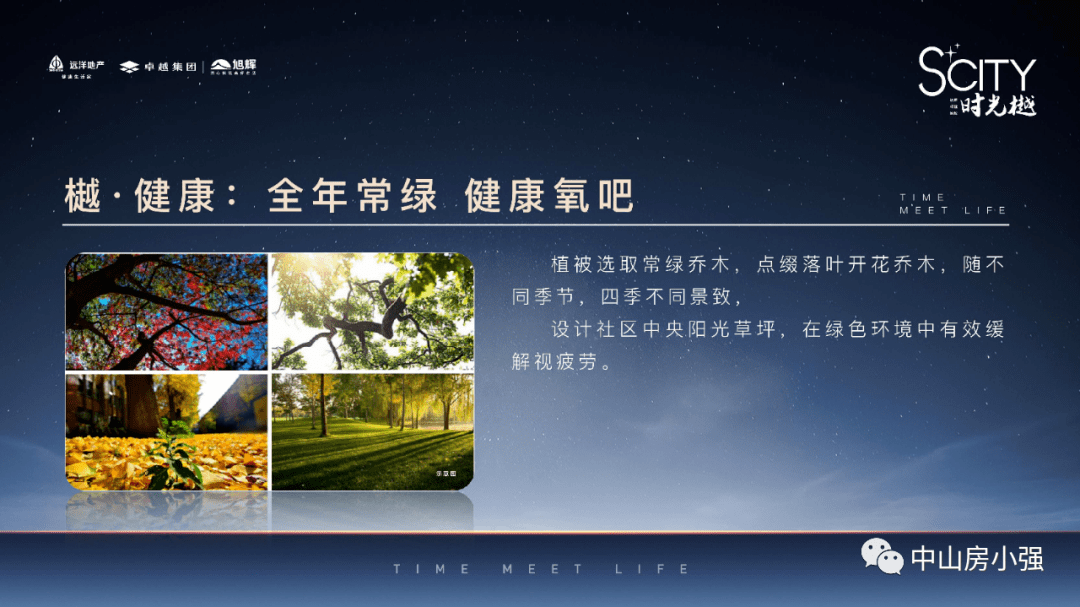 新澳2025最新资料大全第044期深度解析，从39-12-8-1-3-24到T:36的神秘面纱揭晓