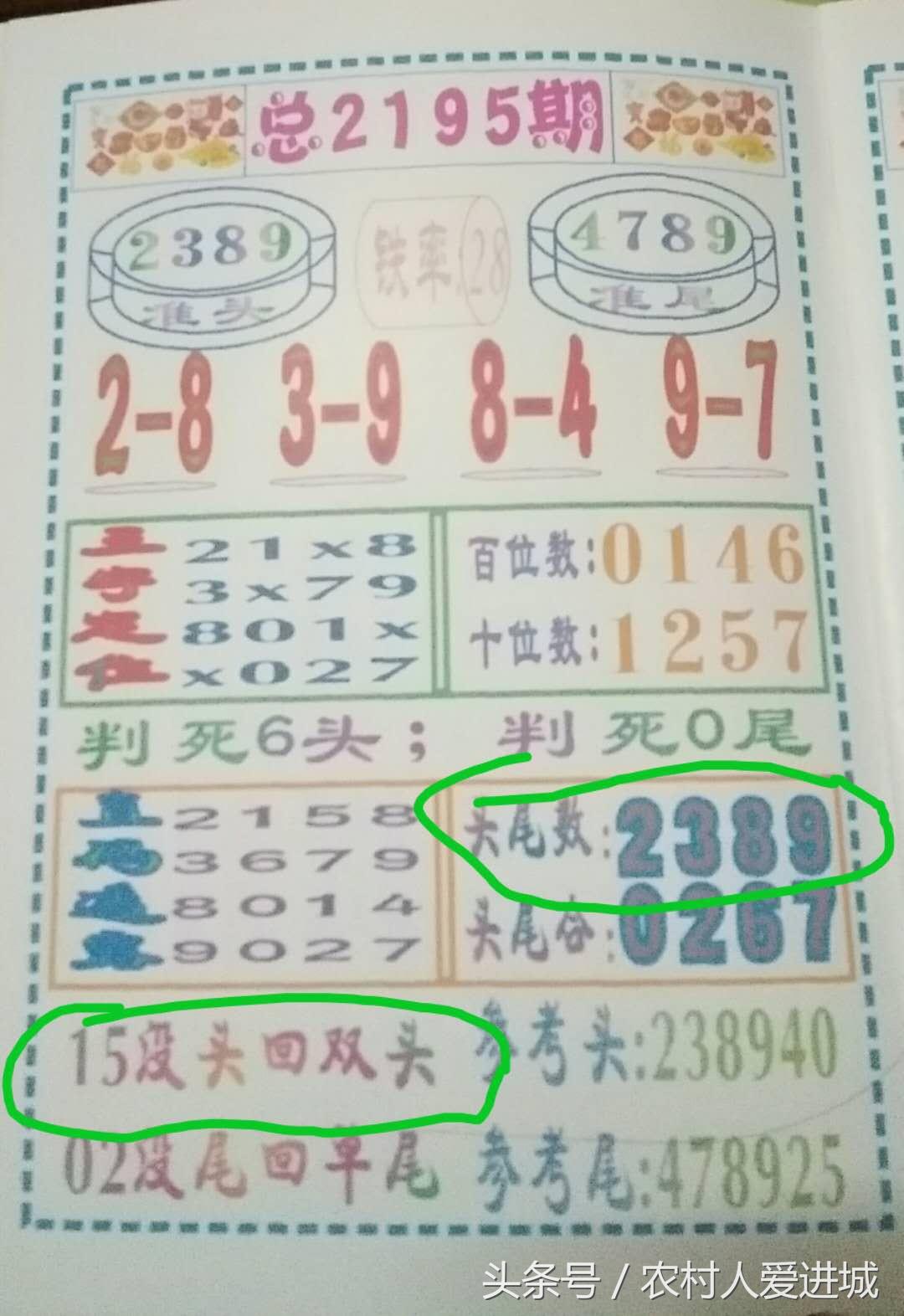 揭秘百分百准确一码一肖的神秘预测，探寻最准一码一肖的秘密