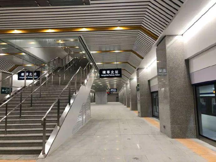 探索未来澳门，全面免费政策的释义、解释与落实之路