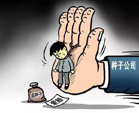 警惕虚假宣传，认清正版资料价值 以2025天天彩正版免费资料为例探讨程序执行提升的重要性