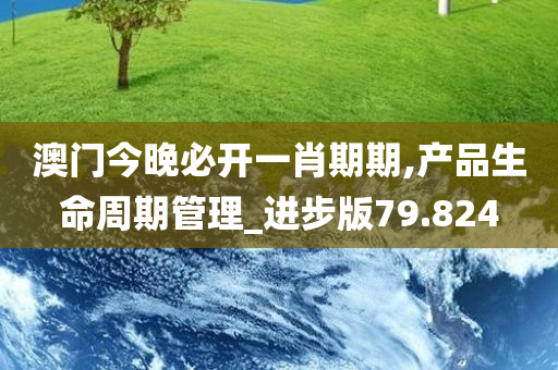 探索未来，2025年新澳全年资料深度解析与推荐