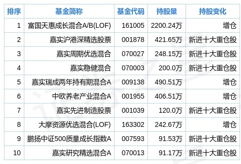 新奥2025最新资料大全，准确资料、全面数据与落实行动的解释