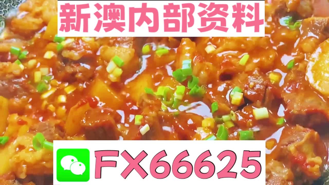 新奥2025年免费资料大全汇总，探索未来的关键资源集合