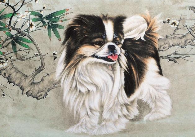 四不像预测一肖的概念