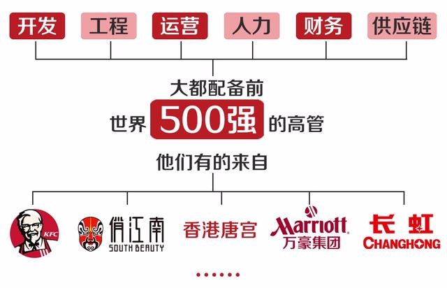 探索未来的繁荣之路，澳门与香港资本车的全面释义、解释与落实