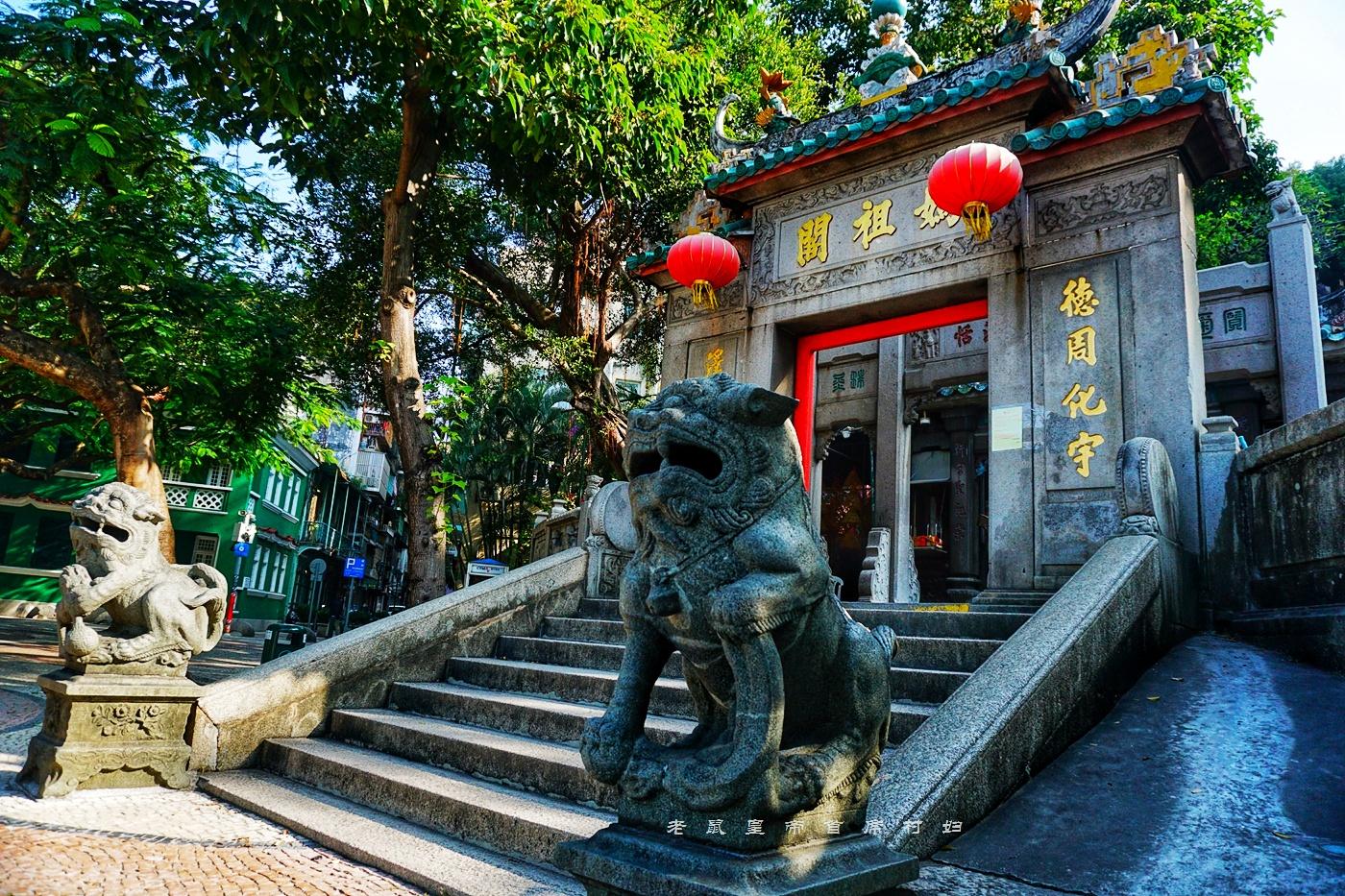 探索未来澳门，全面免费政策的释义、解释与落实之路